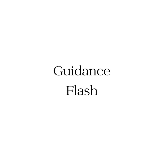 Guidance Flash