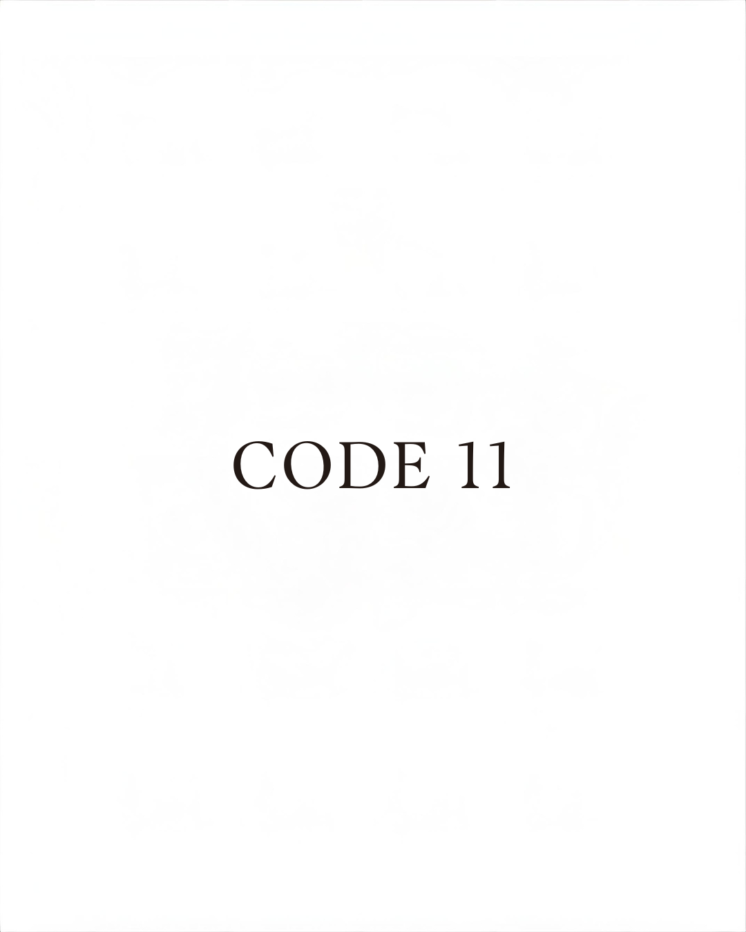 Le pont de l'architecte (Code 11)