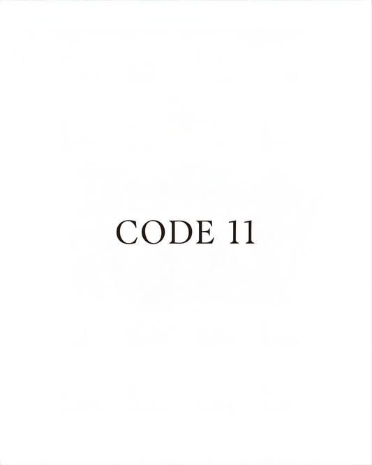 Le pont de l'architecte (Code 11)