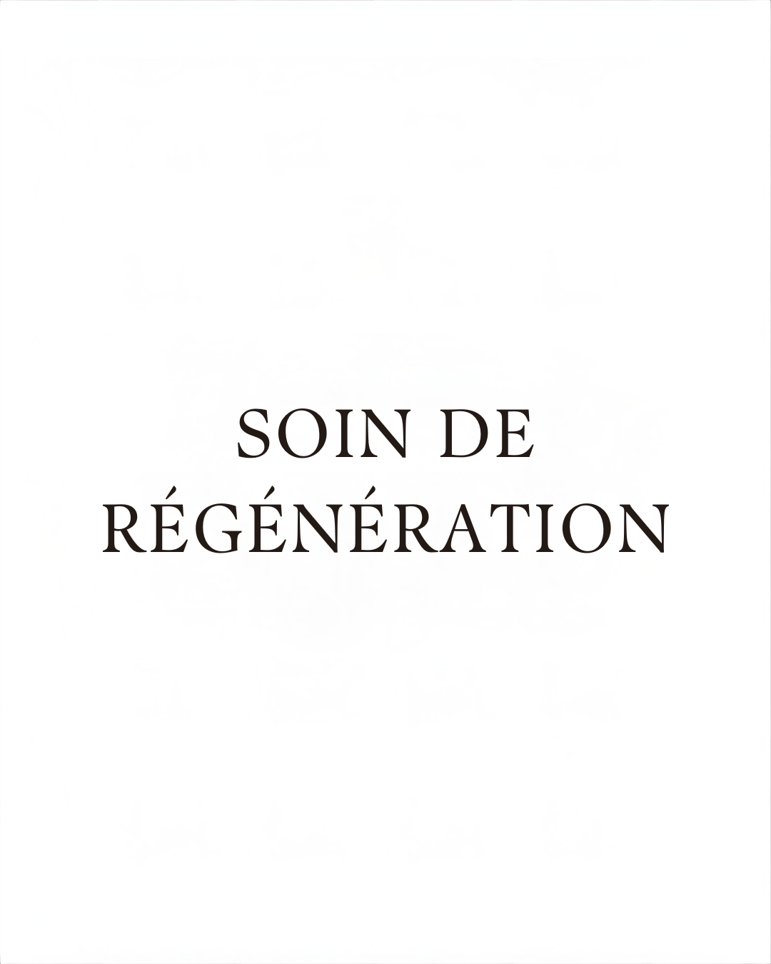 Sas d'août : décrochage, épuration & préparation septembre